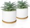 Set of 2 Artificial Agave Small Potted Succulent Plants with White Ceramic Pots & Bamboo Tray – Faux Desk & Home Decor